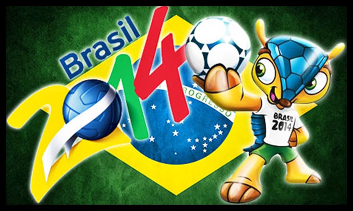 Fuleco - mascote da copa do mundo de 2014, a copa do Brasil