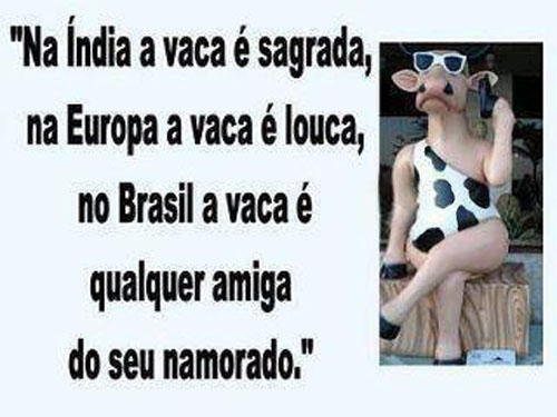 Não Índia, a vaca é sagrada; na Europa, a vaca é louca, no Brasil, a vaca é qualquer amiga do seu namorado.