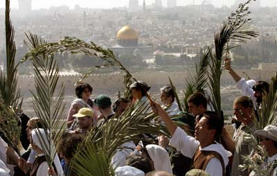 Os peregrinos carregam folhas de palmeiras durante a procisso de Domingo de Palmas que vai desde o Monte das Oliveiras at a antiga cidade de Jerusalm
