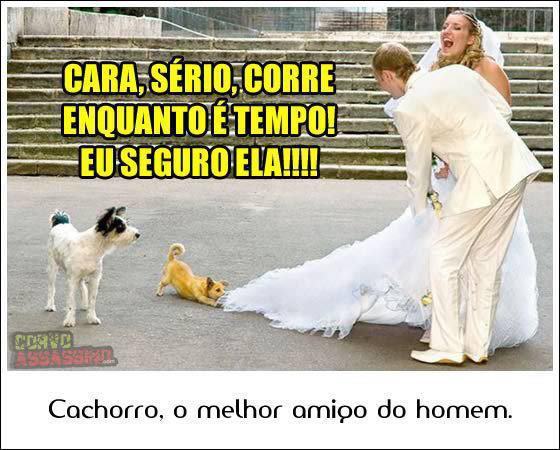 Cachorro, o melhor amigo do homem: 
- Cara, sério! Corre enquanto é tempo!  Eu seguro ela!