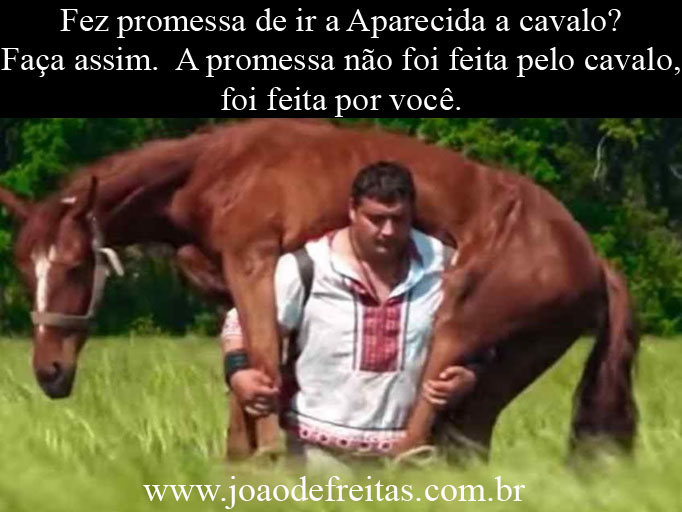 Fez promessa de ir a Aparecida a cavalo?
Faça assim.  A promessa não foi feita pelo cavalo, foi feita por você.
rs