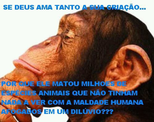 Se deus ama tanto a sua criação,
por que ele matou milhões de espécies animais que não tinham nada a ver com a maldade humana afogados em um dilúvio?