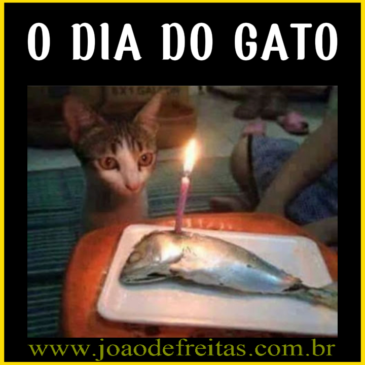 Agora, fiquei com uma dúvida:
É o aniversário do gato, 
ou o velório do peixe?