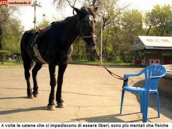 A volte le catene che ci impediscono di essere liberi, sono più mentali che fisiche