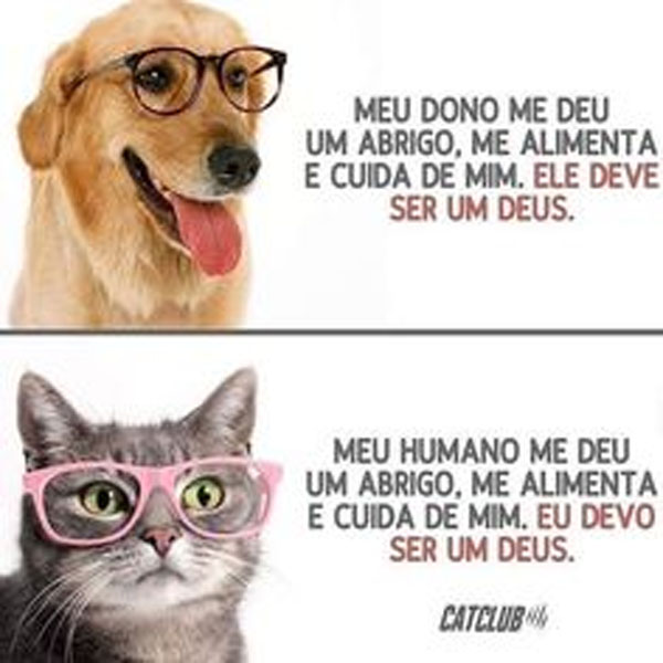 Cachorro: 
- 'Meu dono me deu um abrigo, me alimenta e cuida de mim. Ele deve ser um deus'.  
 Gato: 
- Meu humano me deu um abrigo, me alimenta e cuida de mim. Eu devo ser um deus.