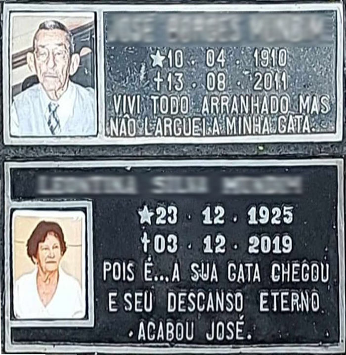 "Vivi todo arranhado, mas não larguei a minha gata".  
- "Pois é... a sua gata chegou e seu descanso eterno acabou, José".