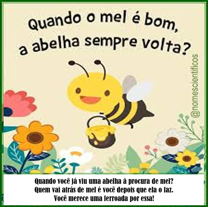 - Quando o mel é bom, a abelha sempre volta? - Quando você vi8u uma abelha à procura de mel? Quem vai atrás de mel é você depois que ela o produz. você merece uma ferroada por essa!