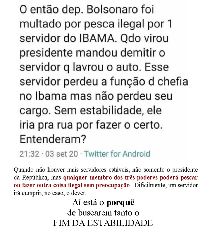 O então deputado Bolsonaro foi multado por pesca ilegal por um servidor do IMAMA. Quando virou presidente, mandou demitir o servidor que lavrou o auto.  Esse servidor perdeu a função de chefia no IBAMA, mas não perdeu o cargo.  Sem estabilidade, ele iria pra rua por fazer o certo. Entenderam?