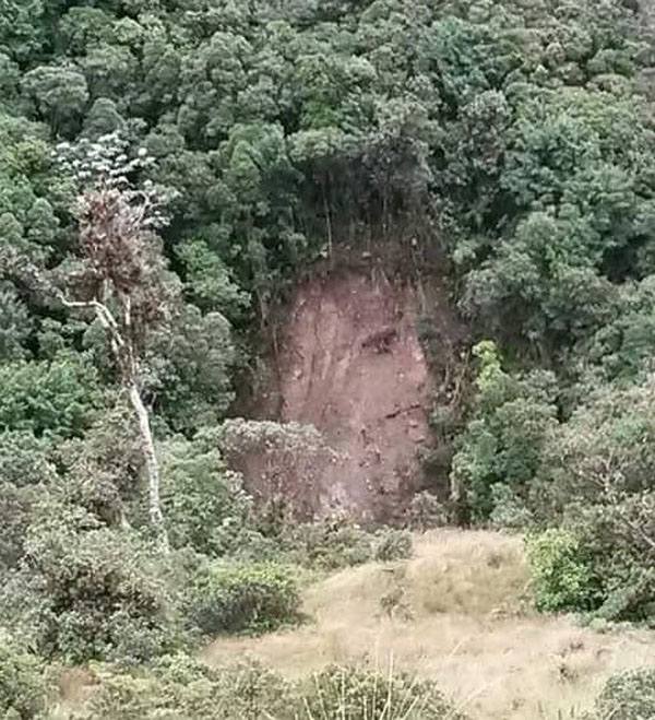 Encontraram Jesus
na árvore, 
no pedaço de carne,
numa torrada, 
nas penas de uma galinha,
nas nuvens,
no deslisamento de morro,
numa meia, 
até na bunda de um cachorro.