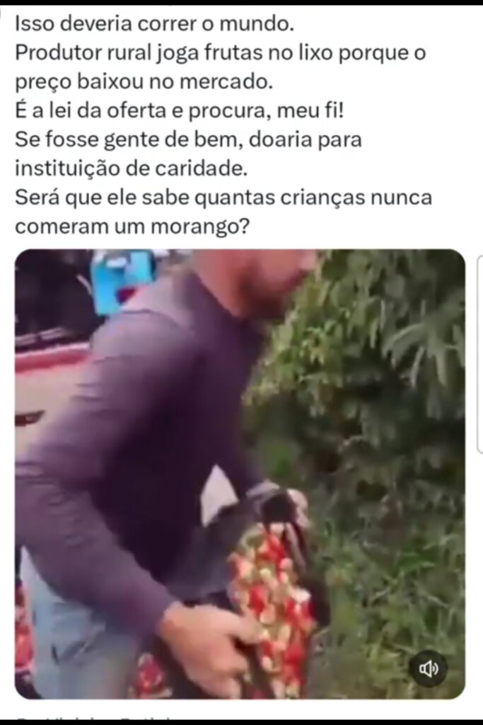 O imbecil que dizer que 
a safra abundando do morango
é culpa de quem votou no Lula!!!
rs
Será que ele pensa que,
se o povo tivesse eleito outro candidato,
a procura seria maior do que a oferta?
