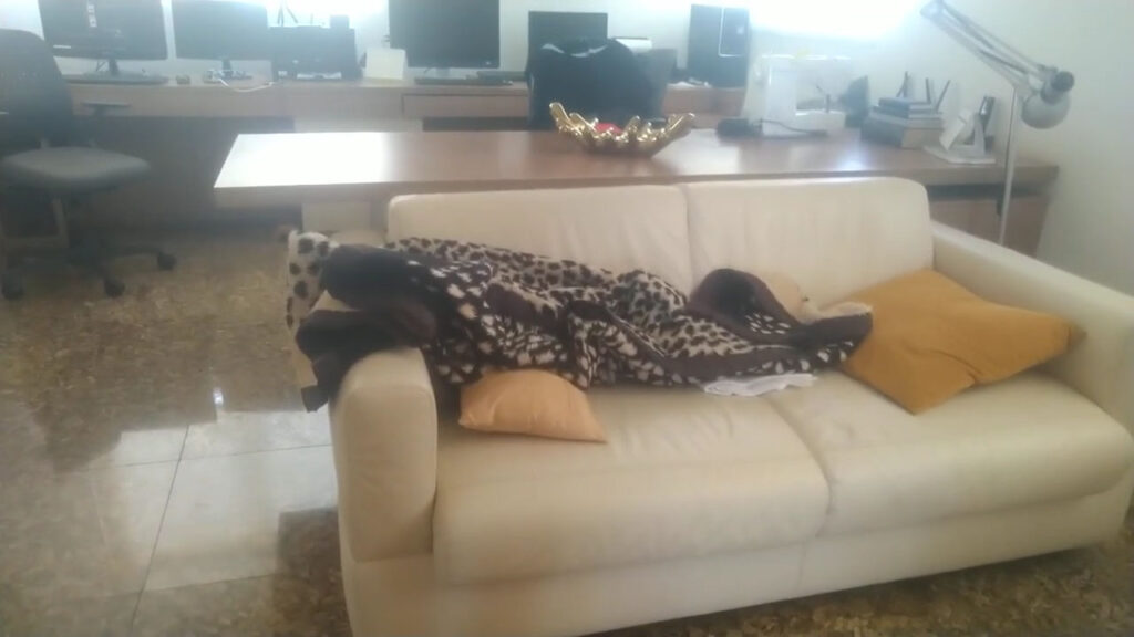 Chama-se pareidolia 
a nossa tendência a ver 
imagens humanas ou animais em coisas.